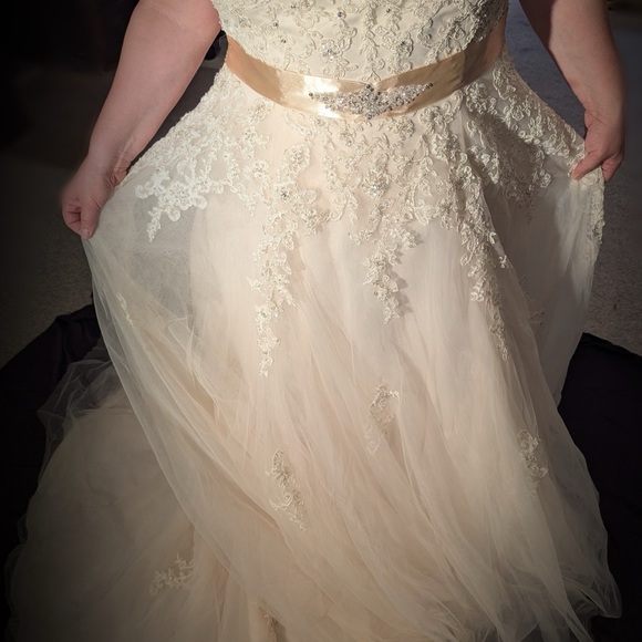 Jasmine Light Gold Ballgown Tulle and Lace Wedding Dress - Picture 1 of 13